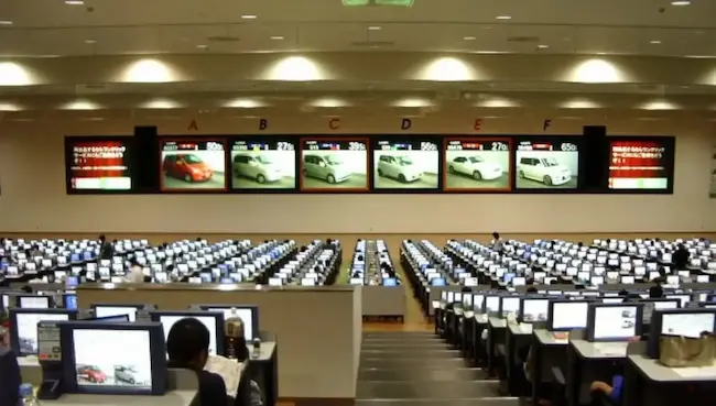 Nexuss Cars – Japanese car exporter