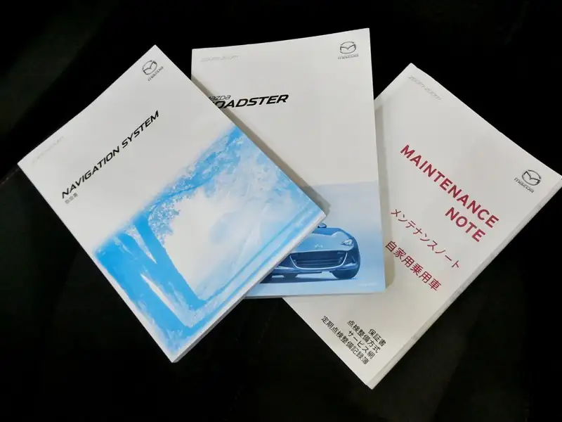 2018 copen XPlay for export